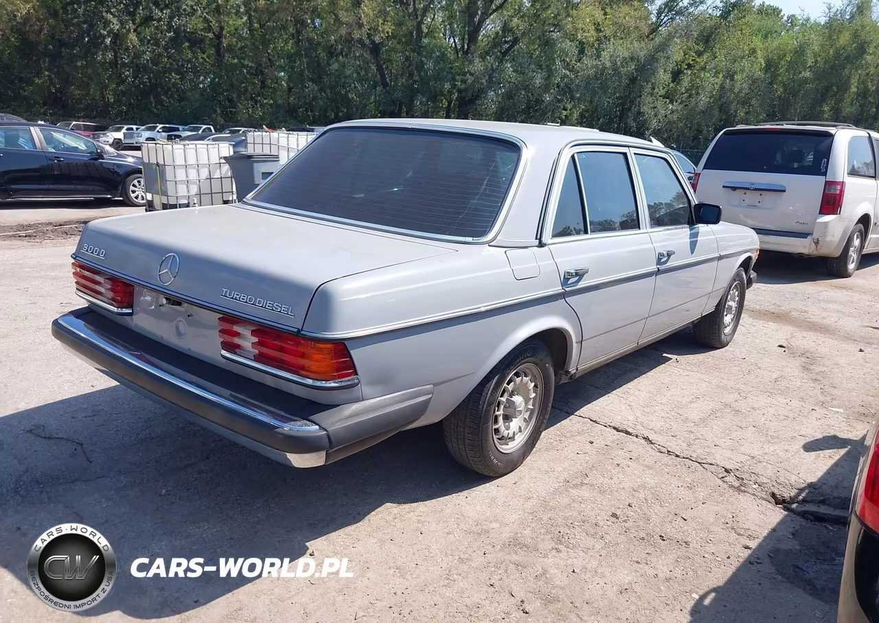 1983 Mercedes-Benz 300 Dt VIN:WDBAB33A3DB029635 - 4