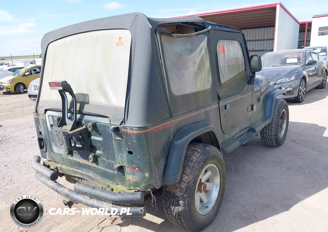 1994 Jeep Wrangler - Yj Sahara VIN:1J4FY49S1RP429810 - 12