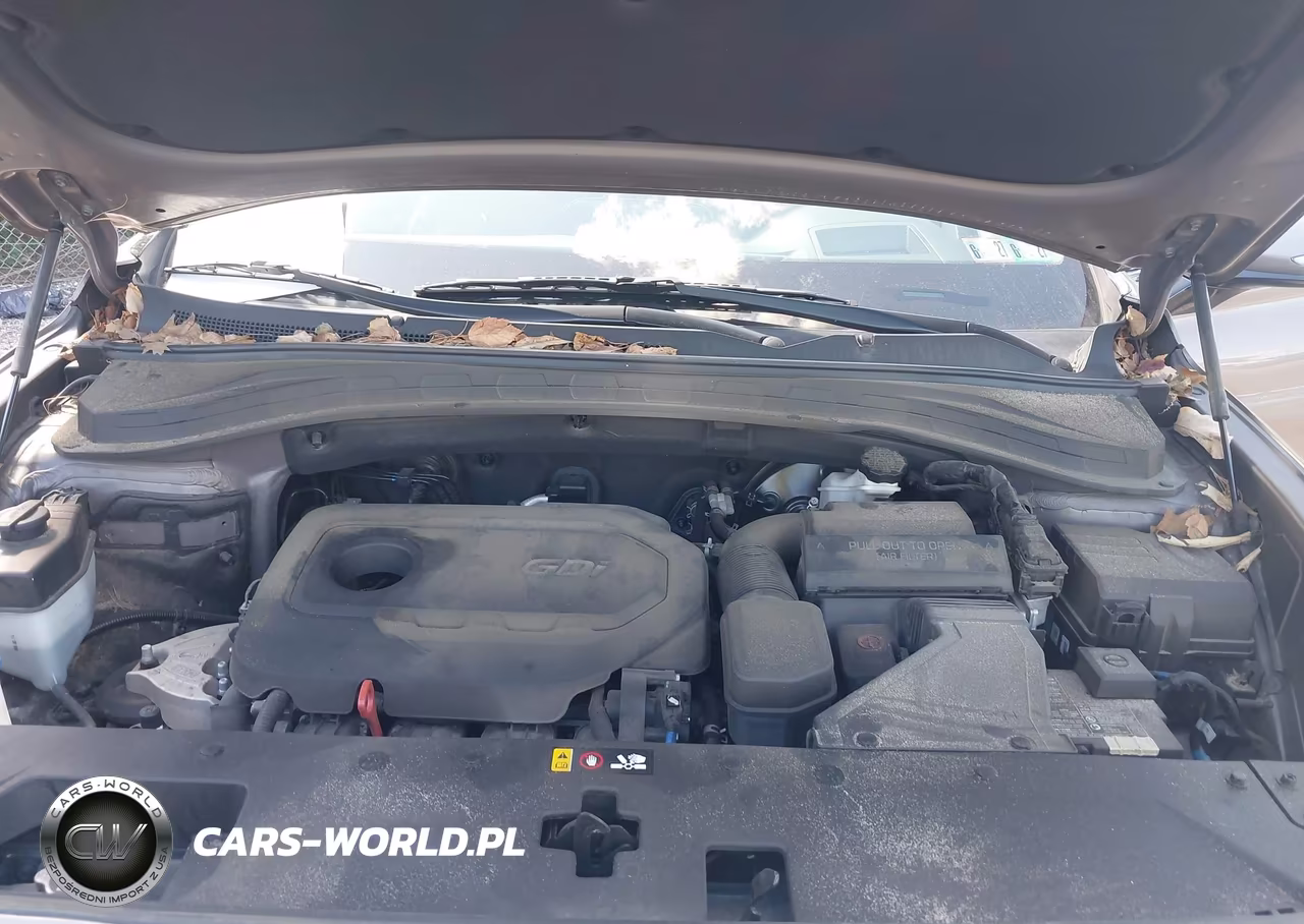 2019 Hyundai Santa Fe Ultimate VIN:5NMS5CAD8KH113727 - 10