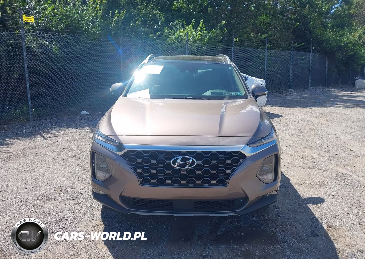 2019 Hyundai Santa Fe Ultimate VIN:5NMS5CAD8KH113727 - 12