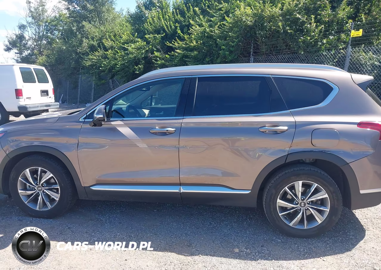 2019 Hyundai Santa Fe Ultimate VIN:5NMS5CAD8KH113727 - 6