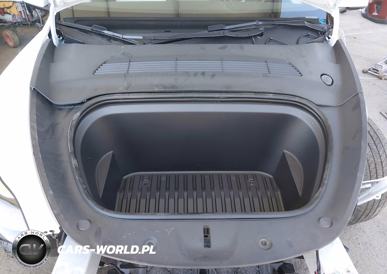 2023 Tesla Model Y Awd-Long Range Dual Motor All-Wheel Drive VIN:7SAYGDEE5PA118471 - 10