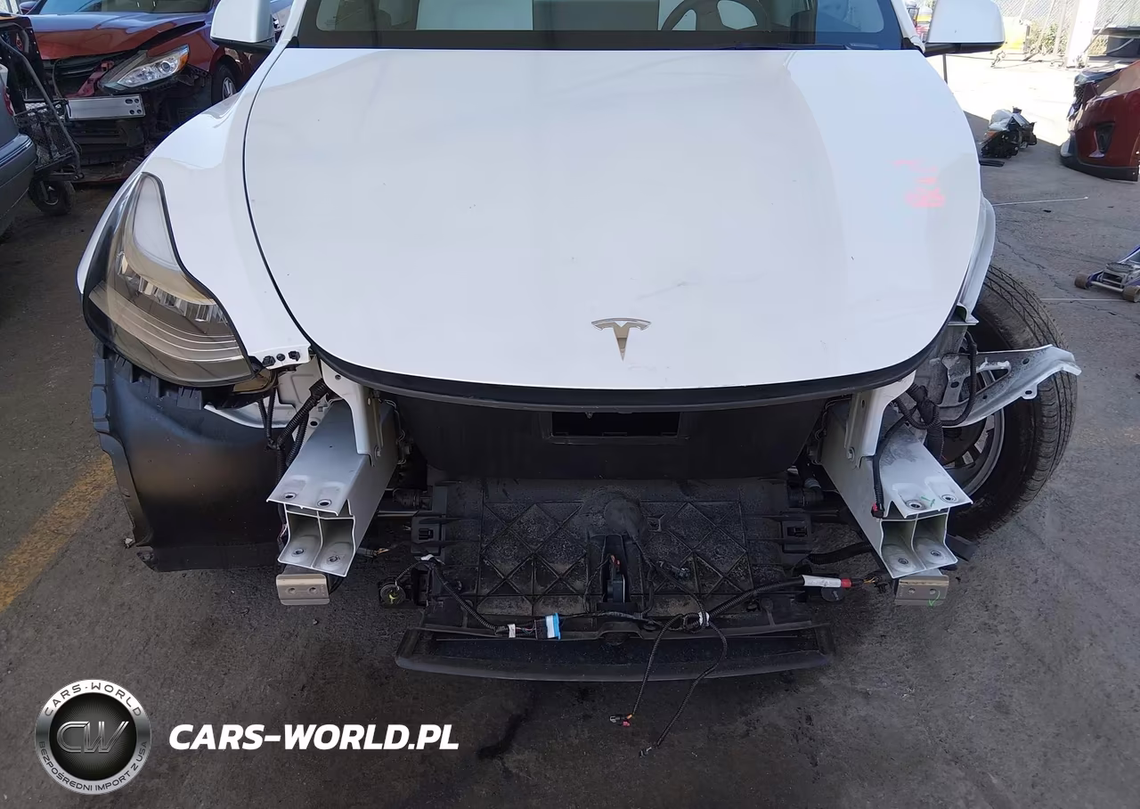 2023 Tesla Model Y Awd-Long Range Dual Motor All-Wheel Drive VIN:7SAYGDEE5PA118471 - 20