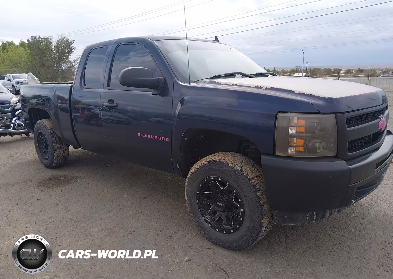 2009 Chevrolet Silverado 1500 Work Truck