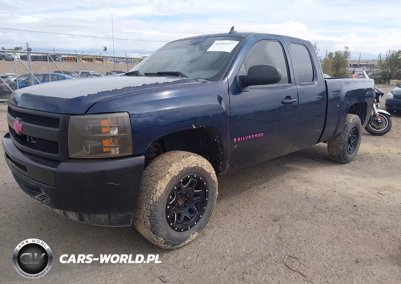 2009 Chevrolet Silverado 1500 Work Truck VIN:1GCEC19X39Z218039 - 2