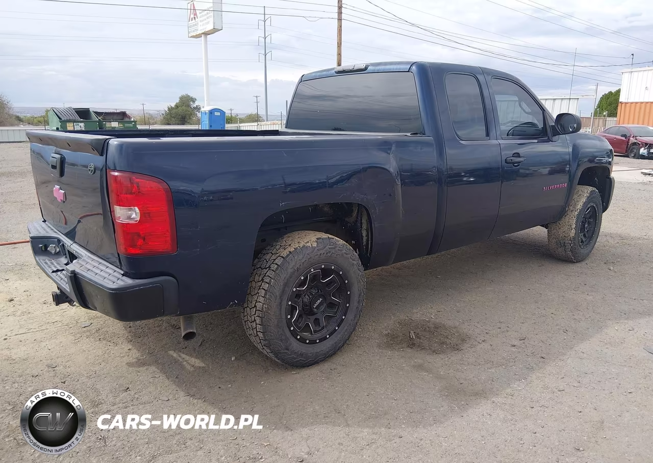 2009 Chevrolet Silverado 1500 Work Truck VIN:1GCEC19X39Z218039 - 4