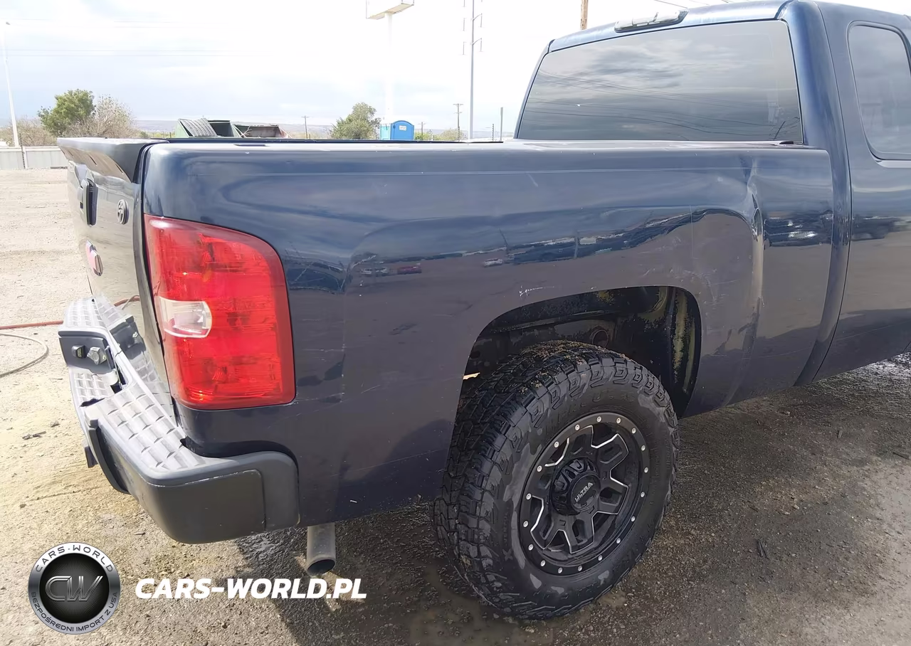 2009 Chevrolet Silverado 1500 Work Truck VIN:1GCEC19X39Z218039 - 6