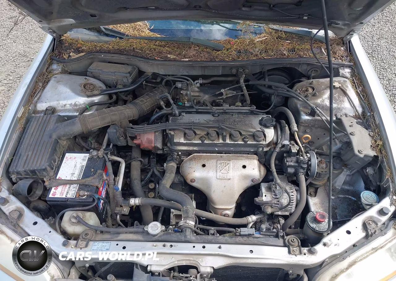 2002 Honda Accord 2.3 Se VIN:JHMCG567X2C019486 - 10