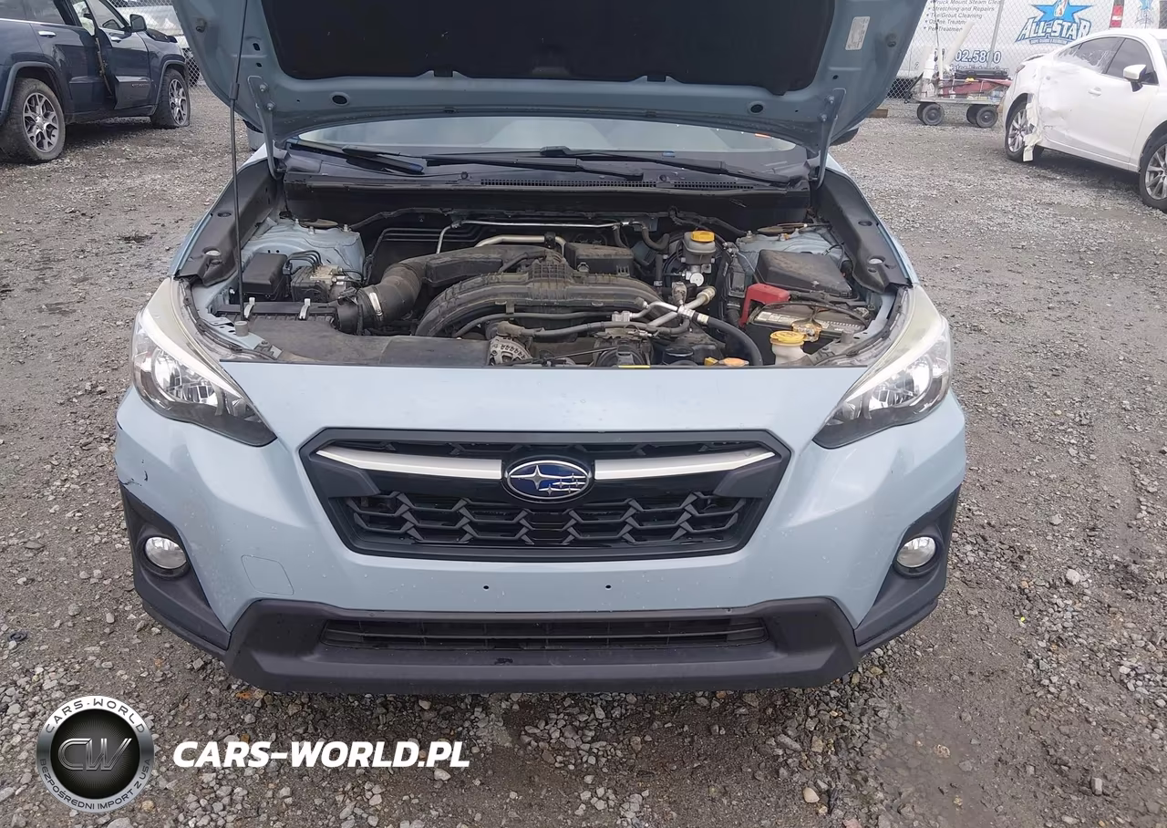 2019 Subaru Crosstrek 2.0I Premium VIN:JF2GTACC1KH207794 - 10