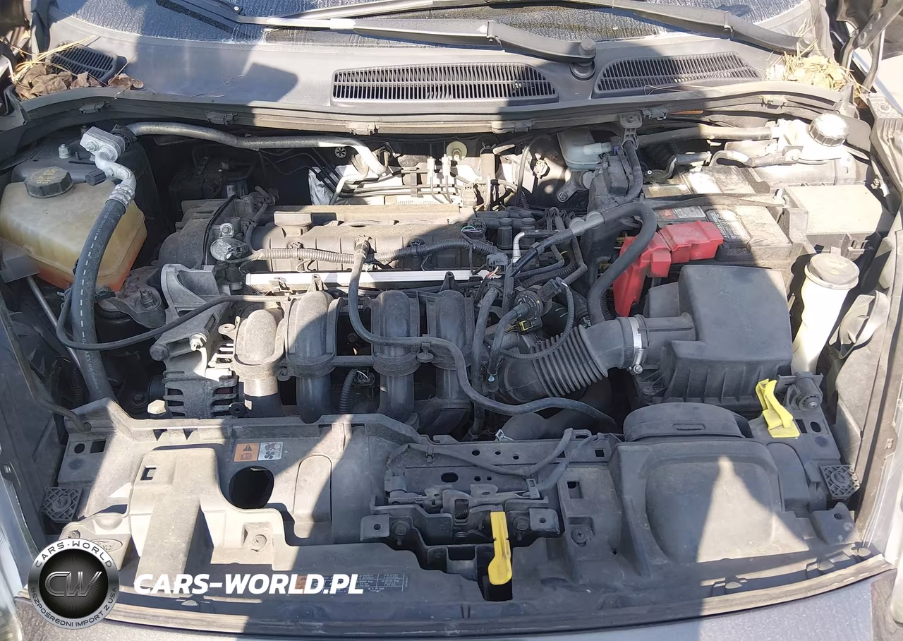 2015 Ford Fiesta Se VIN:3FADP4BJ9FM178463 - 10