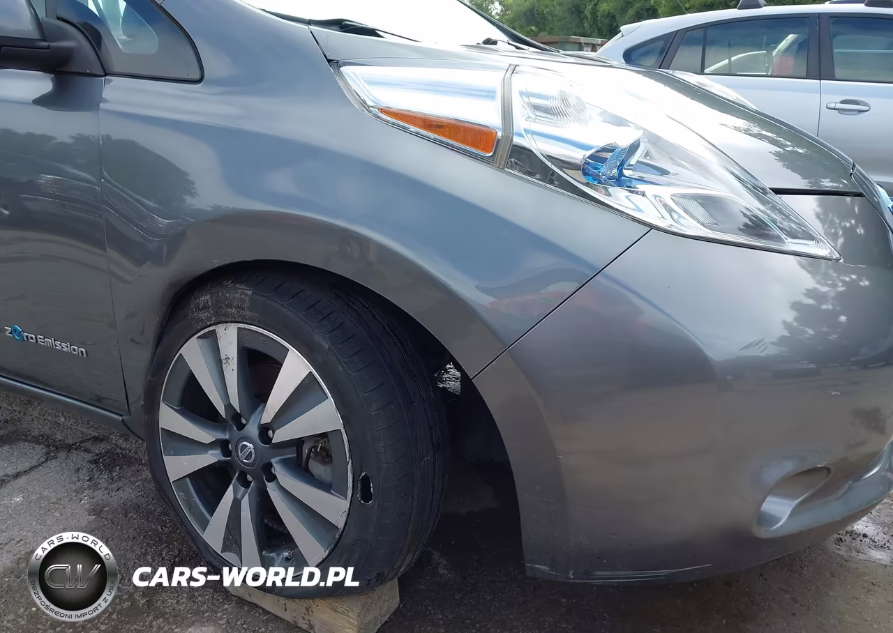 2016 Nissan Leaf Sl VIN:1N4BZ0CP2GC311483 - 6