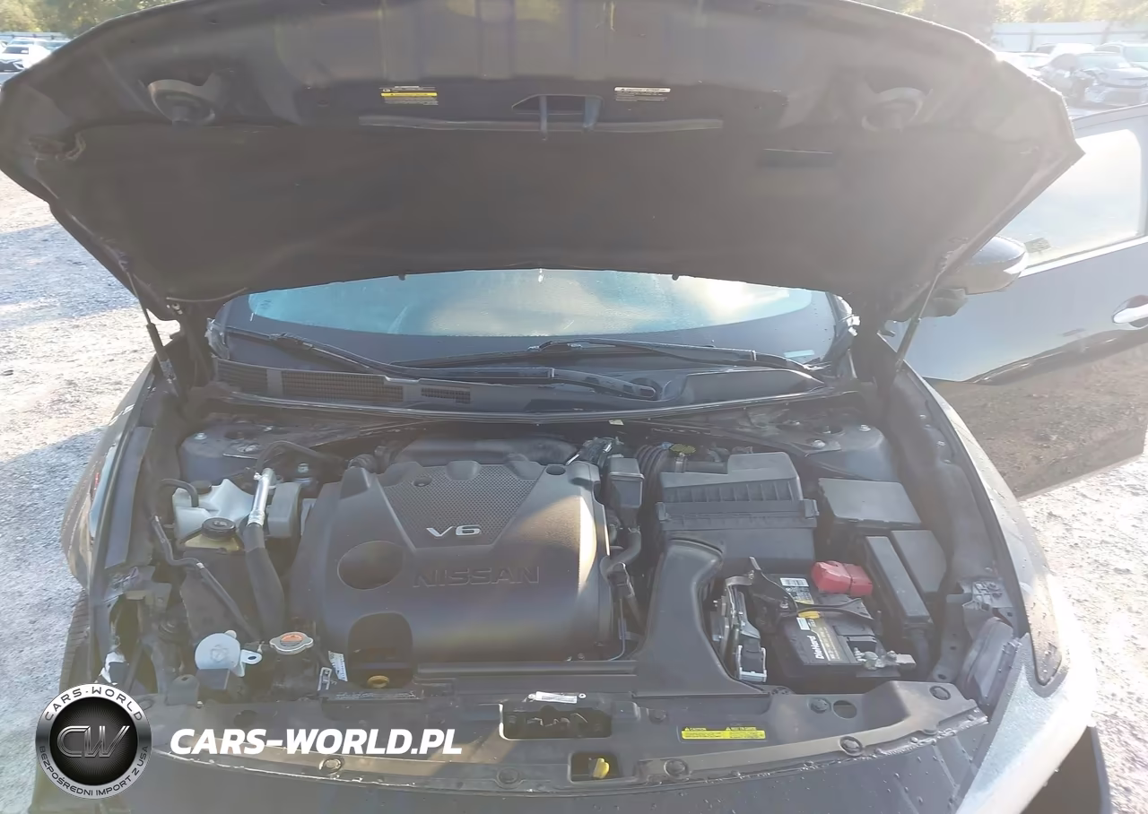 2019 Nissan Maxima 3.5 Platinum VIN:1N4AA6AV9KC378758 - 10