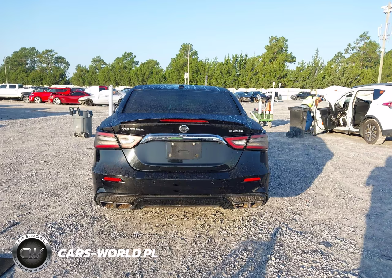 2019 Nissan Maxima 3.5 Platinum VIN:1N4AA6AV9KC378758 - 17