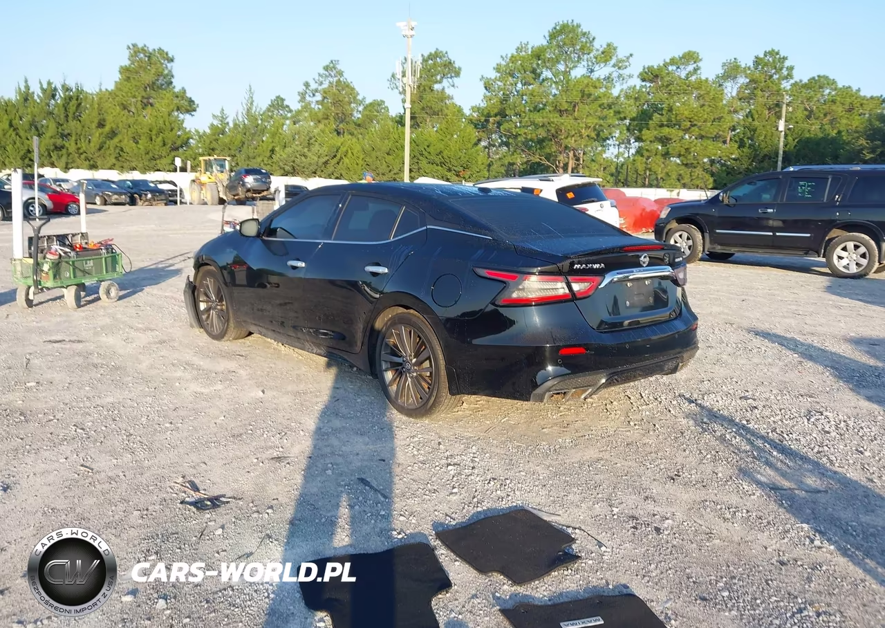 2019 Nissan Maxima 3.5 Platinum VIN:1N4AA6AV9KC378758 - 3