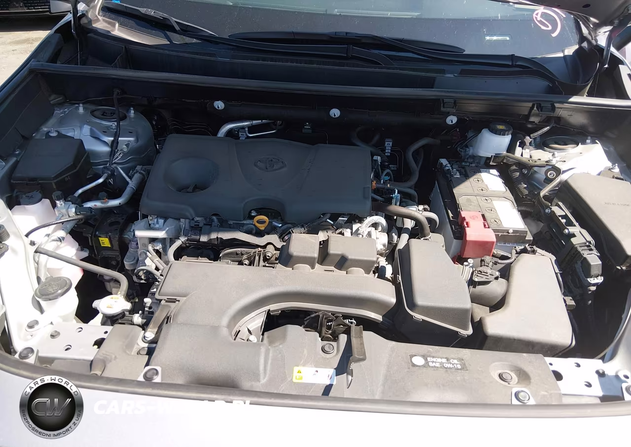 2025 Toyota Rav4 Xle VIN:2T3P1RFV2SW558532 - 10