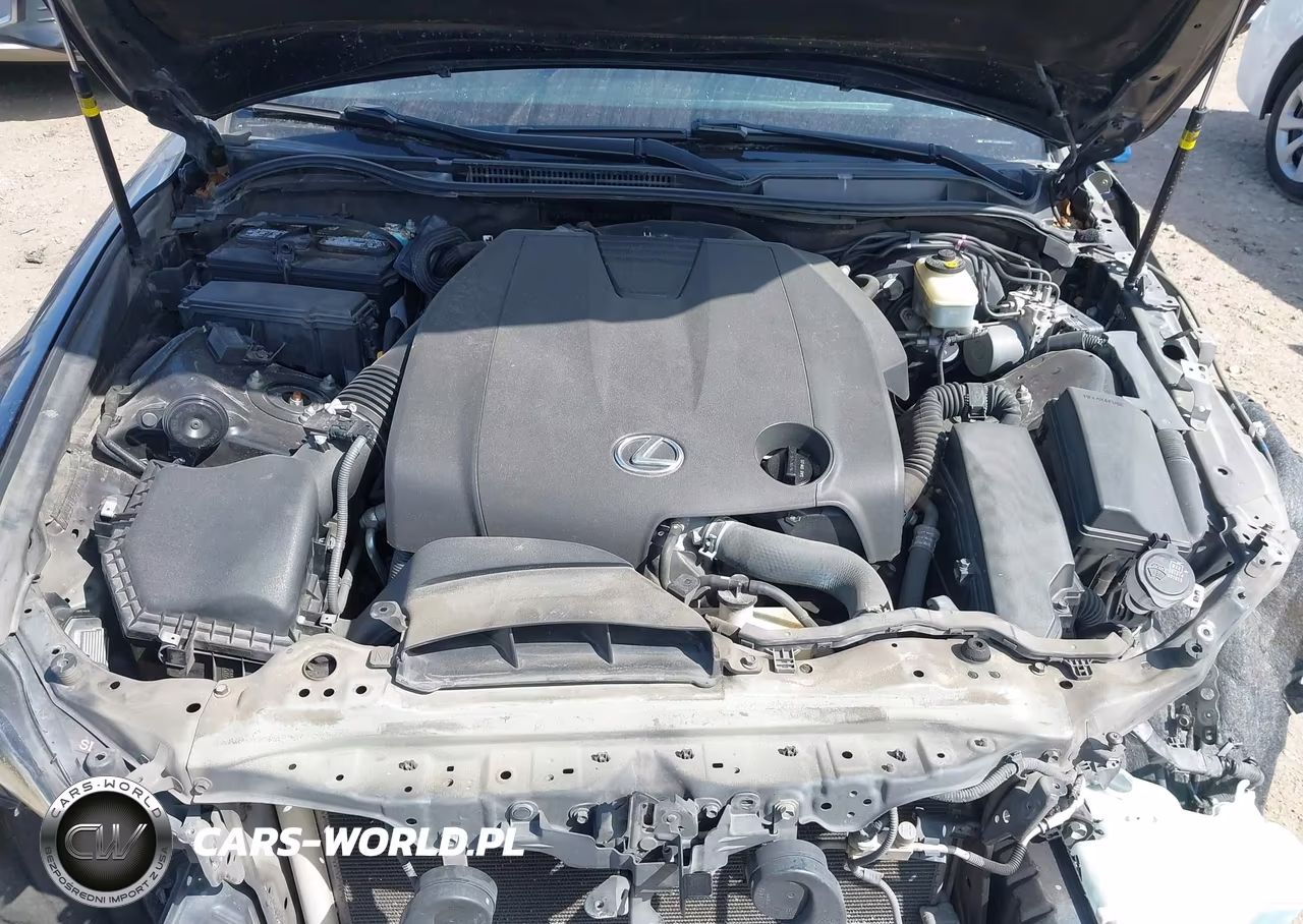 2014 Lexus Is 250 VIN:JTHBF1D28E5016481 - 10