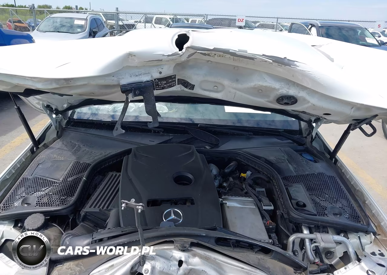 2017 Mercedes-Benz C 300 VIN:55SWF4JBXHU207720 - 10