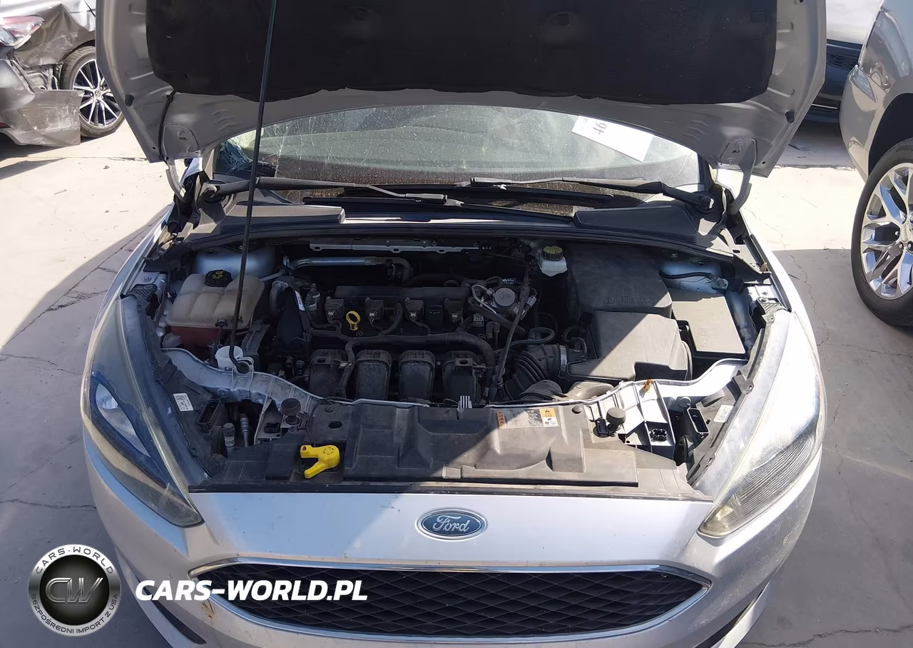 2018 Ford Focus Sel VIN:1FADP3H21JL210892 - 10