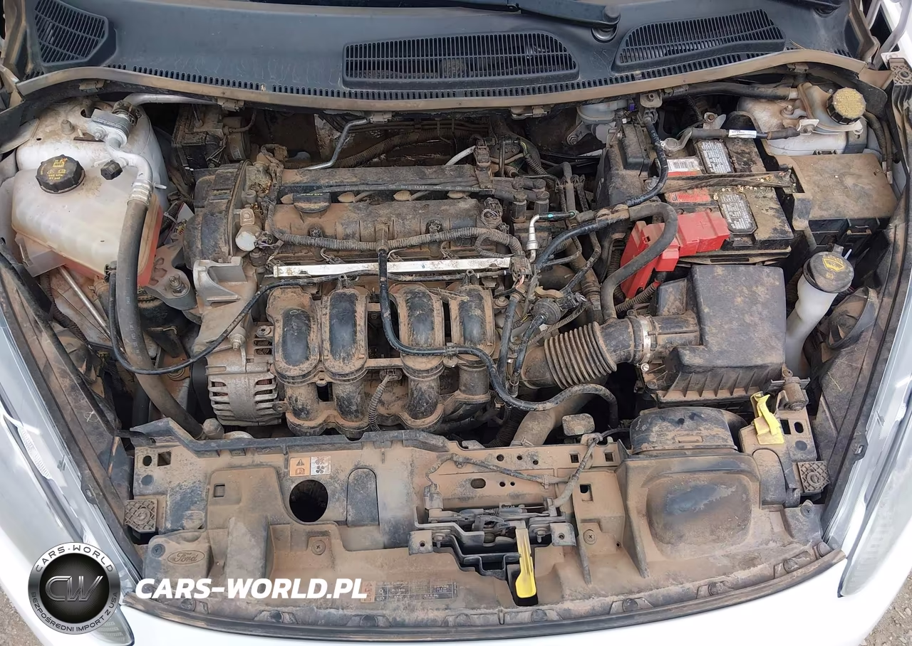 2014 Ford Fiesta Se VIN:3FADP4EJXEM235148 - 10