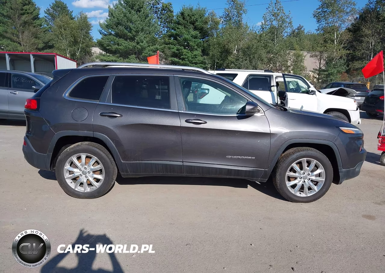 2014 Jeep Cherokee Limited VIN:1C4PJMDB0EW170118 - 13