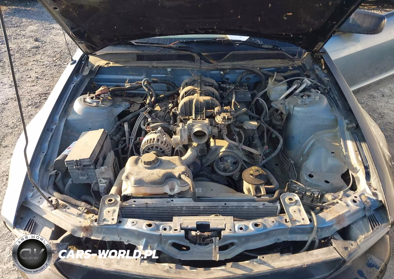 2006 Ford Mustang V6 VIN:1ZVFT80N365135137 - 10