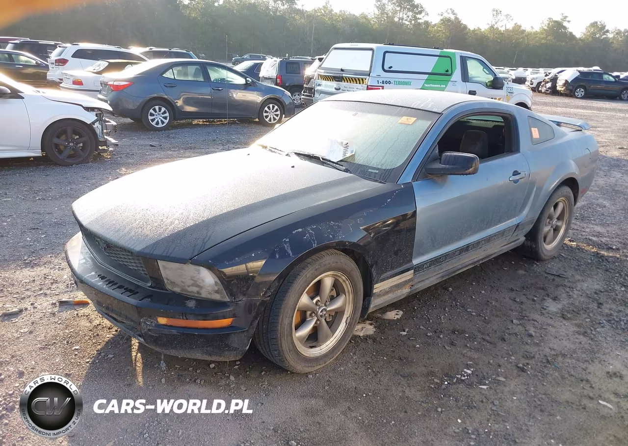 2006 Ford Mustang V6 VIN:1ZVFT80N365135137 - 2