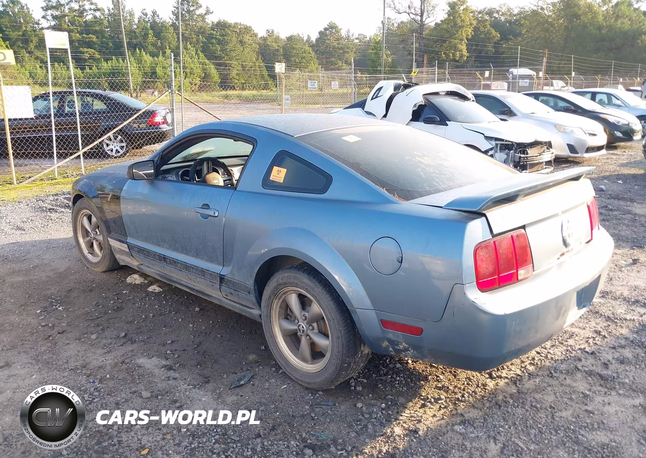 2006 Ford Mustang V6 VIN:1ZVFT80N365135137 - 3