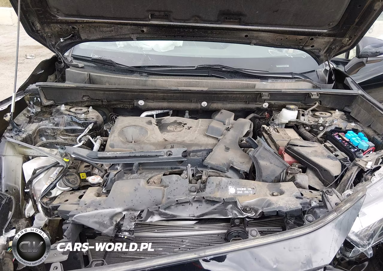 2024 Toyota Rav4 Xle Premium VIN:2T3C1RFV2RW345959 - 10