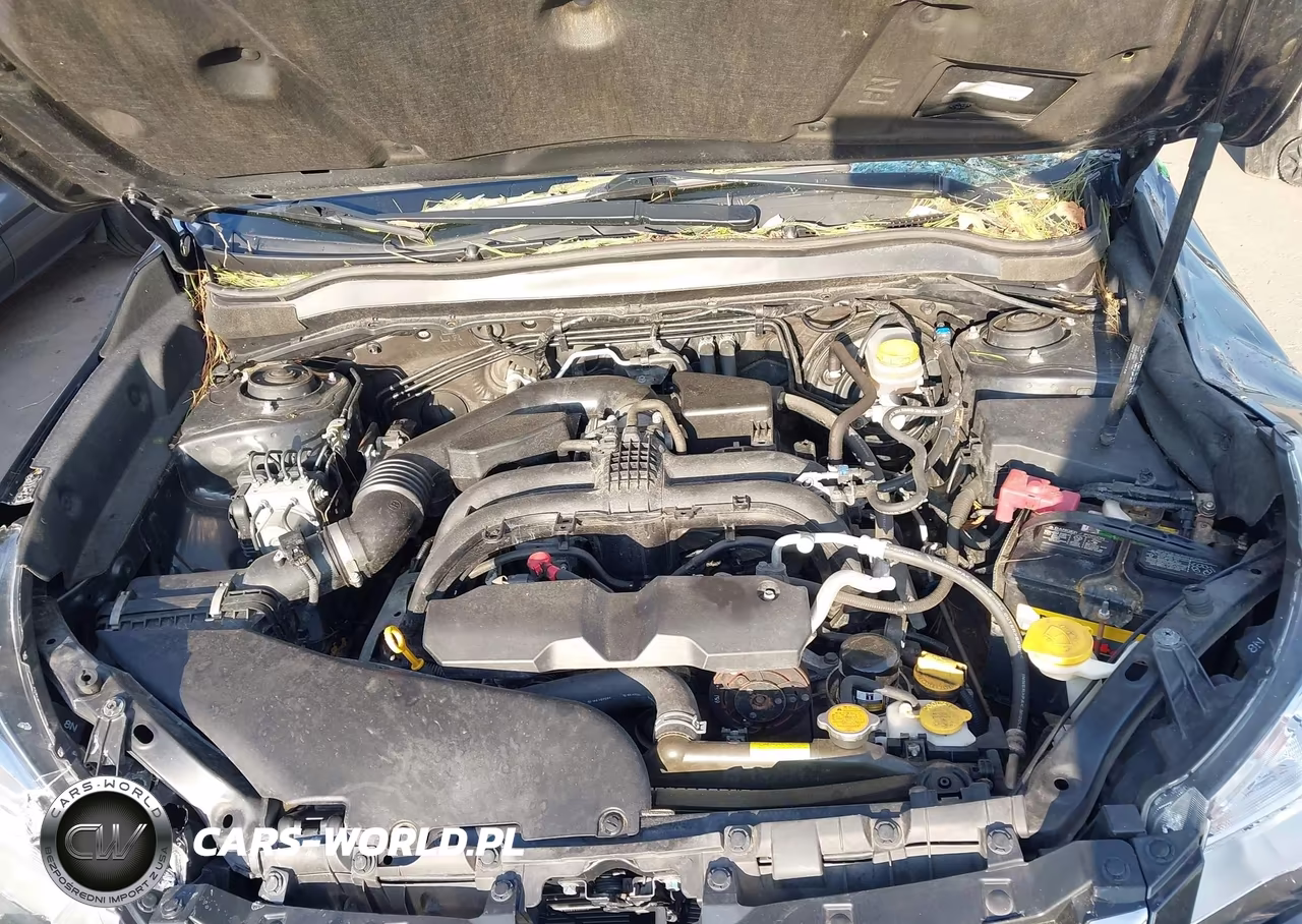 2017 Subaru Forester 2.5I Premium VIN:JF2SJAEC8HH433174 - 10