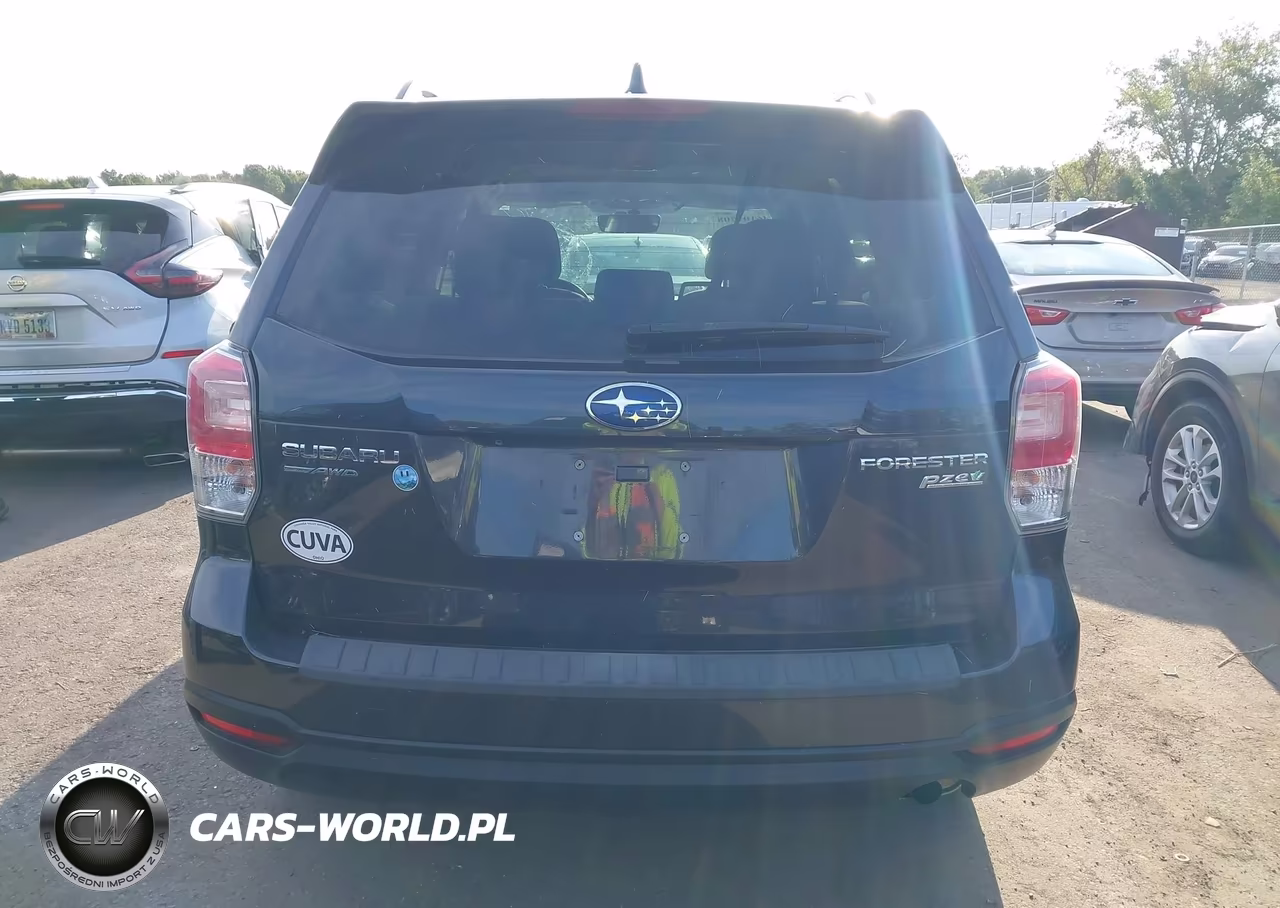 2017 Subaru Forester 2.5I Premium VIN:JF2SJAEC8HH433174 - 16