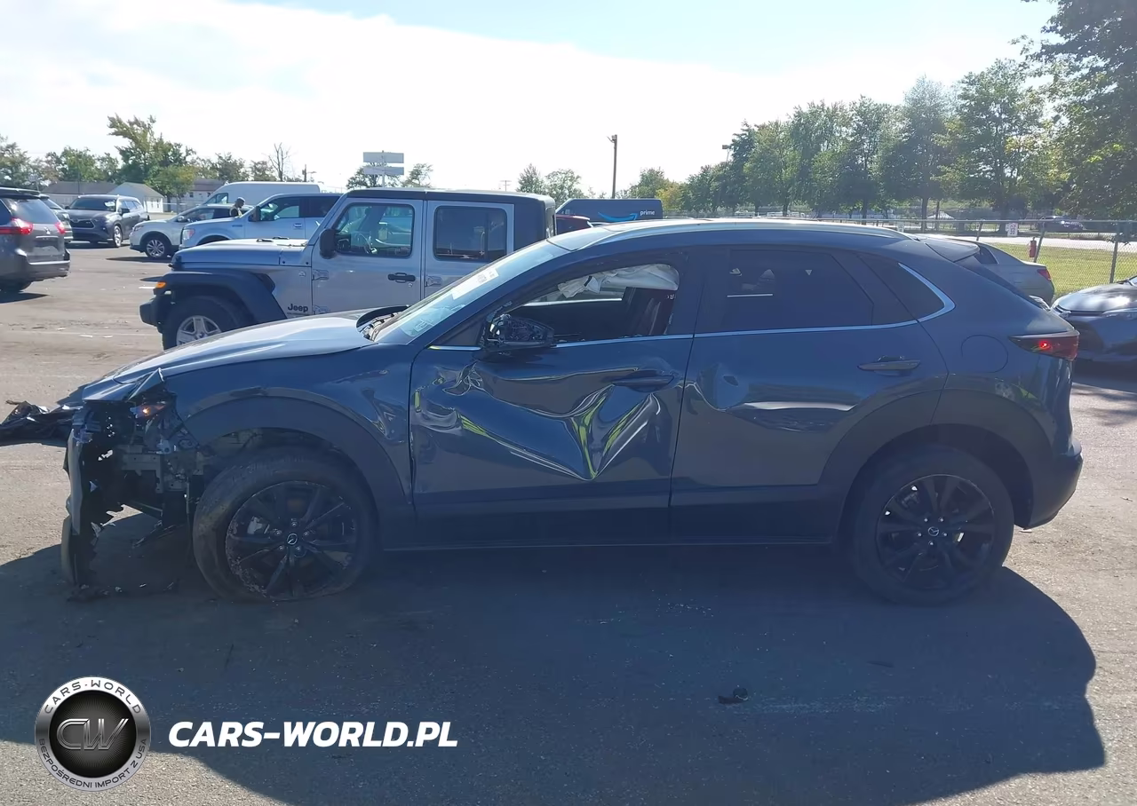 2023 Mazda Cx-30 2.5 S Carbon Edition VIN:3MVDMBCM7PM531461 - 14