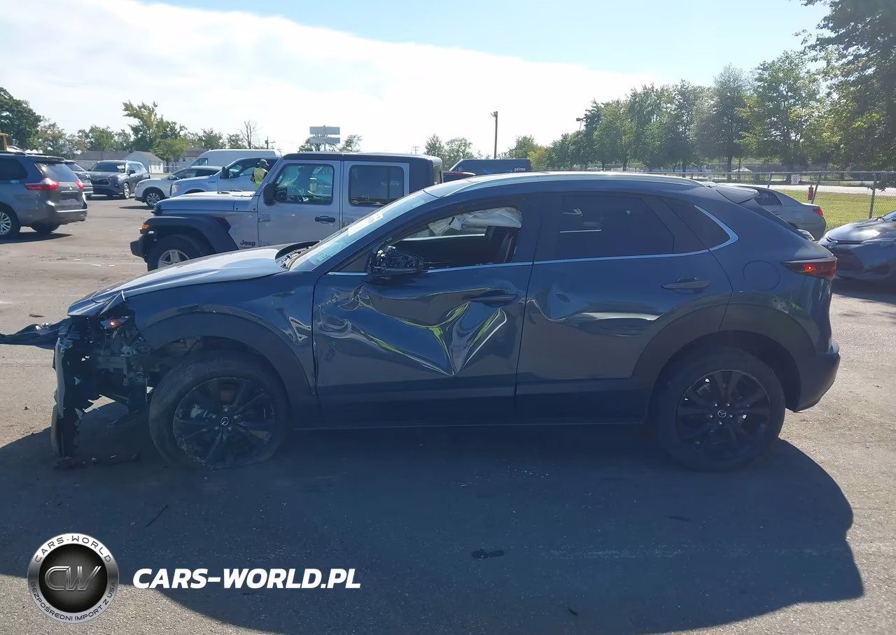 2023 Mazda Cx-30 2.5 S Carbon Edition VIN:3MVDMBCM7PM531461 - 6