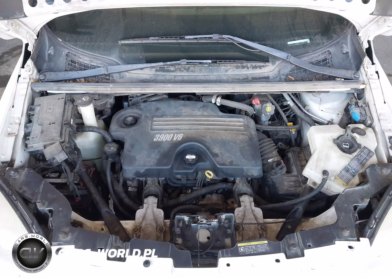 2008 Chevrolet Uplander Ls VIN:1GNDU23W08D207839 - 10