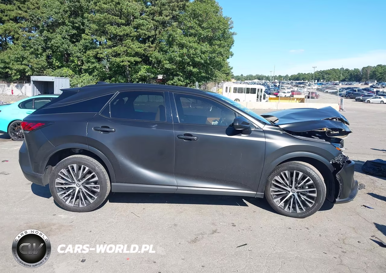 2023 Lexus Rx 350H Premium Plus VIN:2T2BBMCA3PC003193 - 13