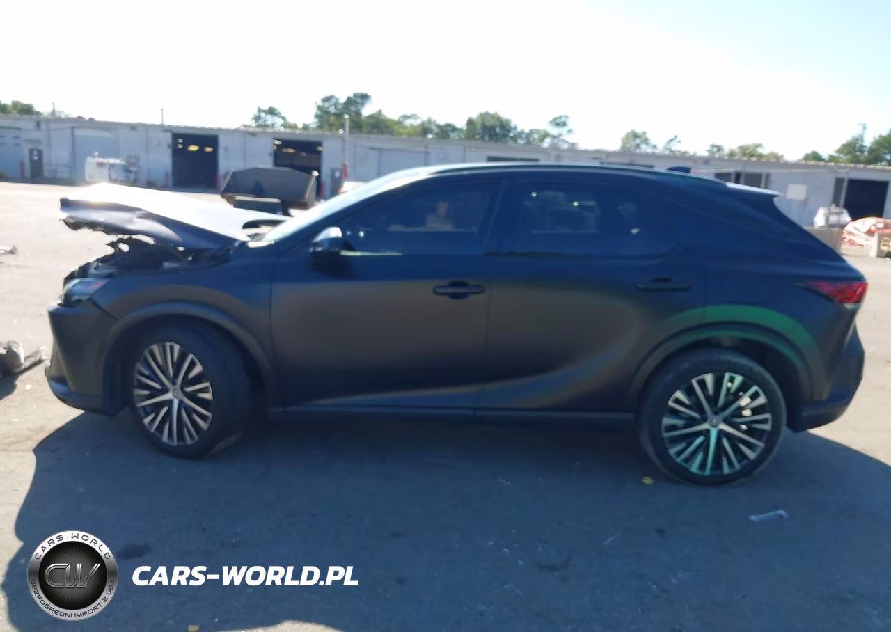 2023 Lexus Rx 350H Premium Plus VIN:2T2BBMCA3PC003193 - 14