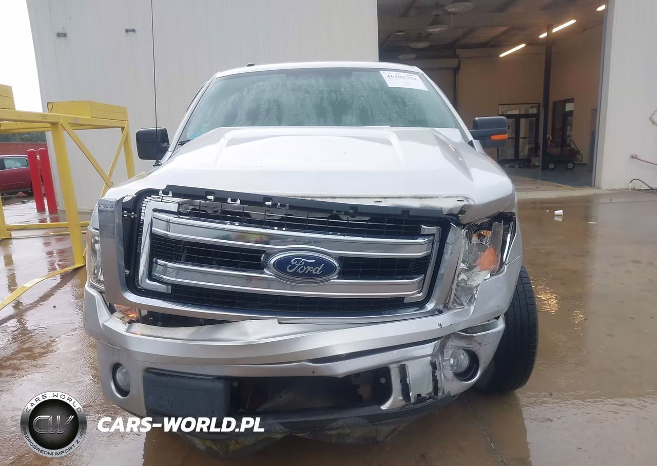 2013 Ford F-150 Xlt VIN:1FTMF1CM8DFC53882 - 12
