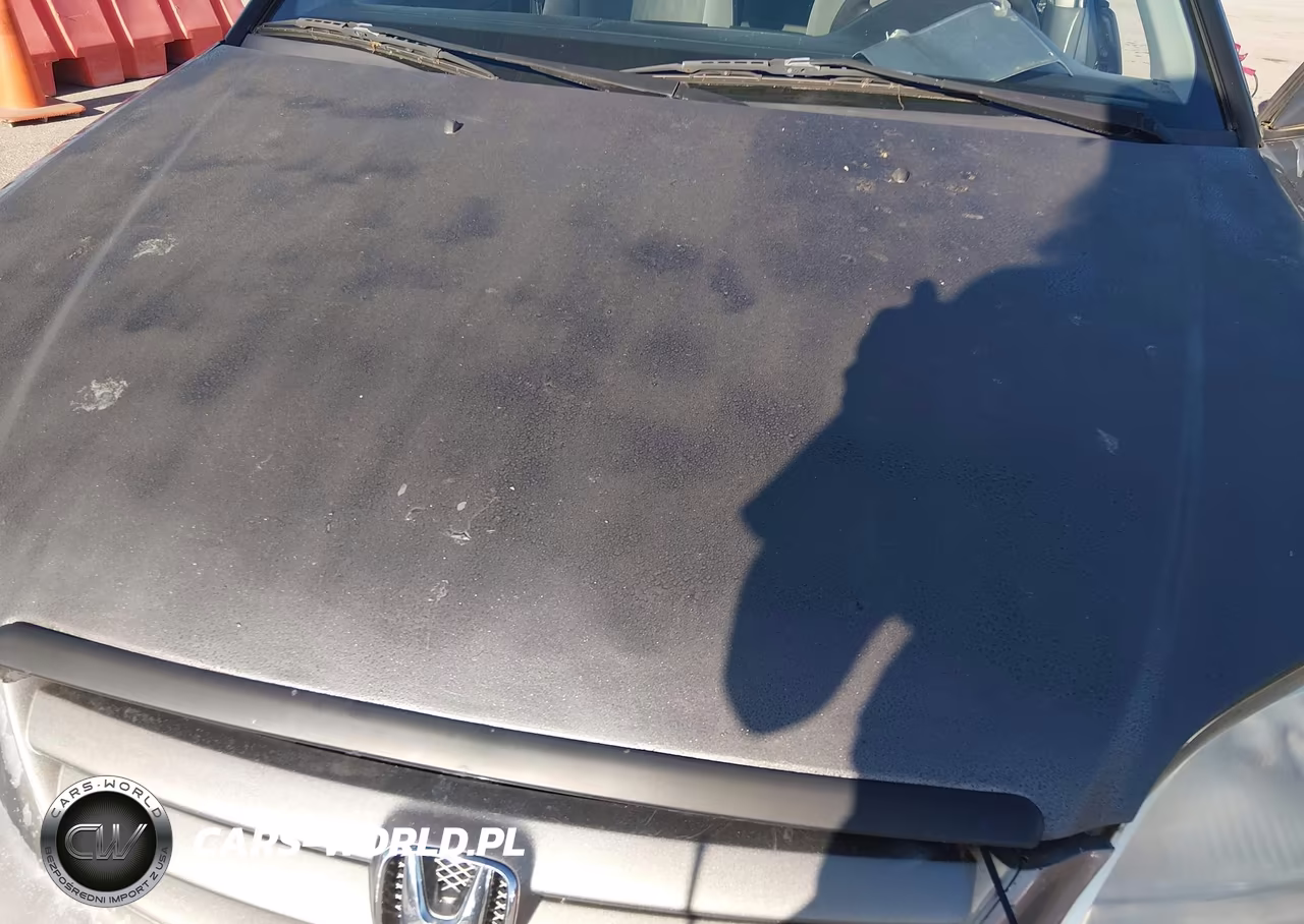 2004 Honda Civic Lx VIN:2HGES16694H641054 - 10