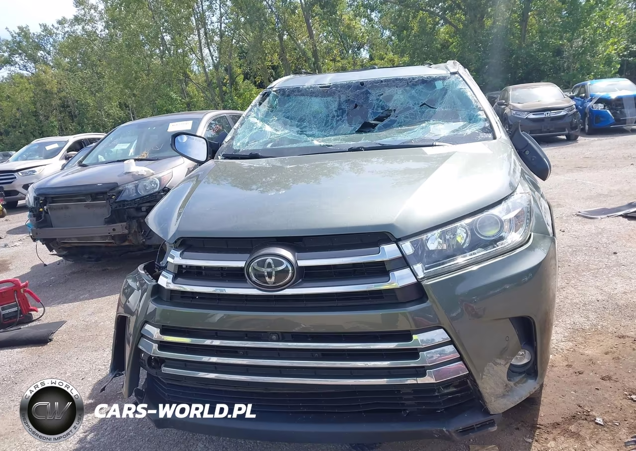 2019 Toyota Highlander Limited Platinum VIN:5TDDZRFH6KS998292 - 13