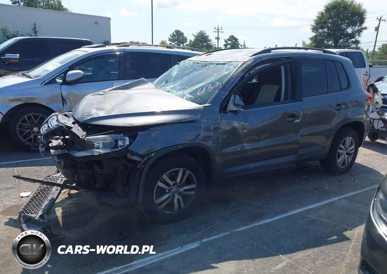 2016 Volkswagen Tiguan S VIN:WVGAV7AX0GW586132 - 2