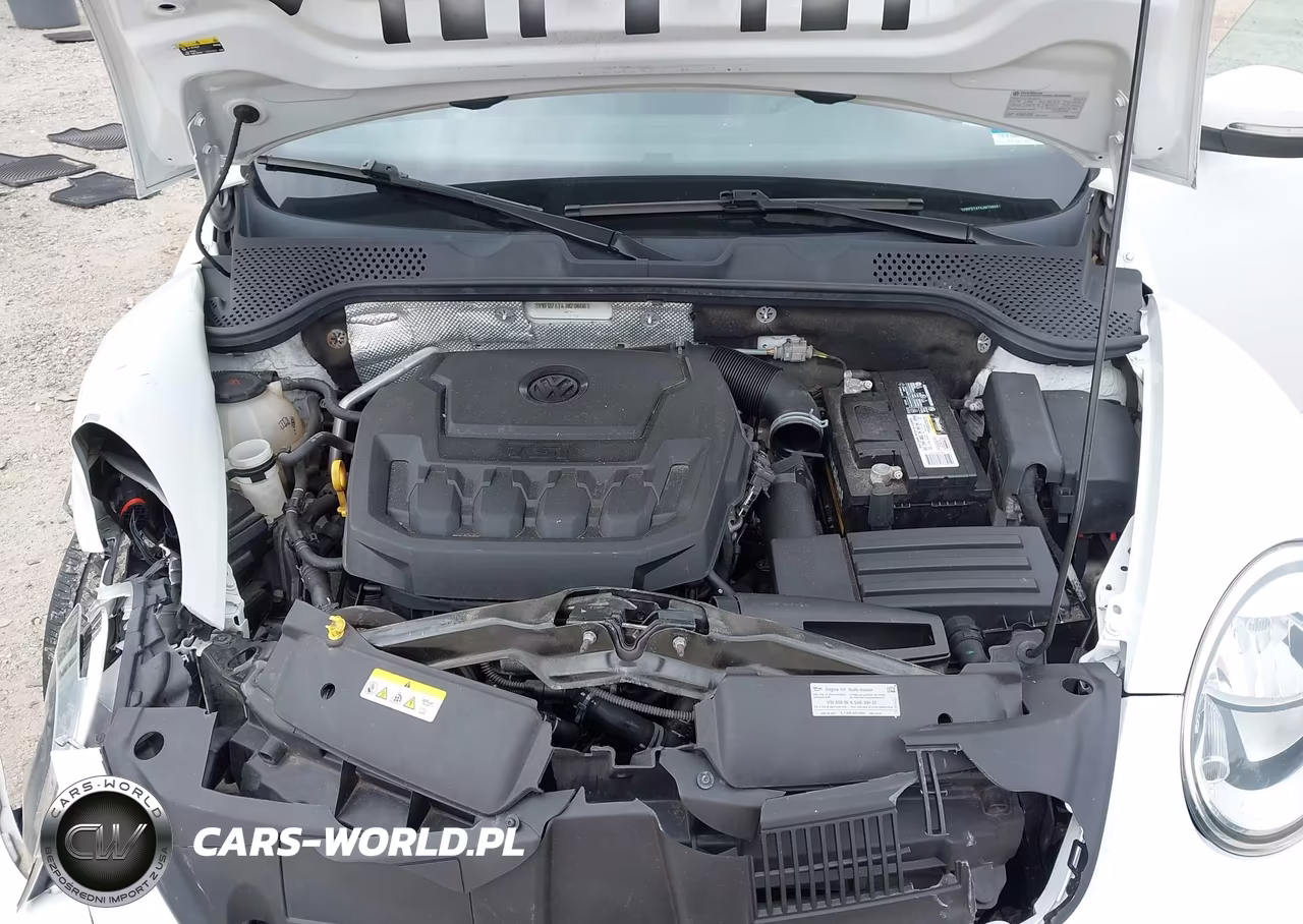 2018 Volkswagen Beetle 2.0T Coast-2.0T S VIN:3VWFD7AT4JM706061 - 10