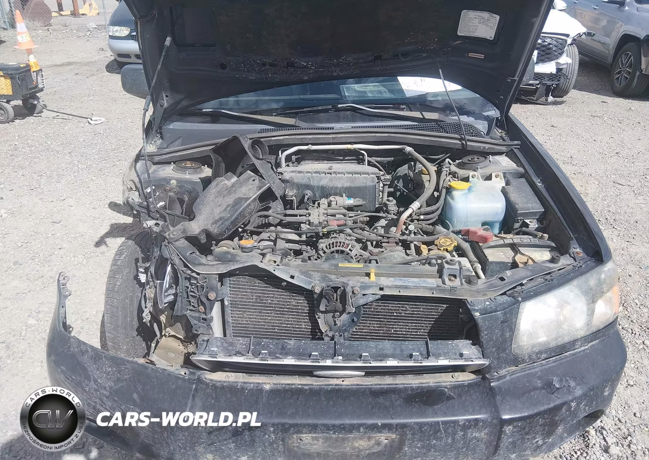 2004 Subaru Forester 2.5Xs VIN:JF1SG65634G755103 - 10