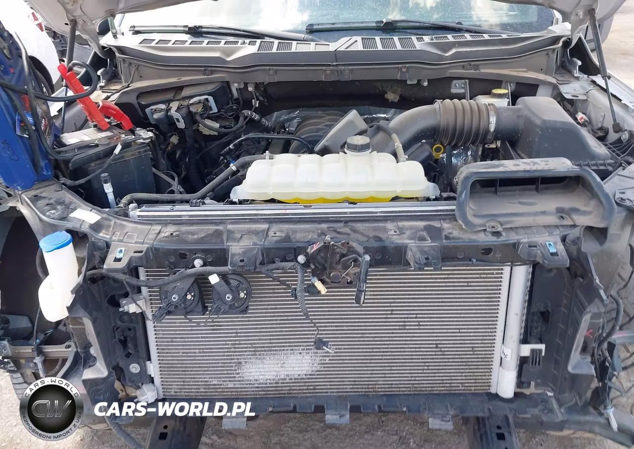 2024 Ford F-150 Xlt VIN:1FTEW3K54RKD43099 - 10