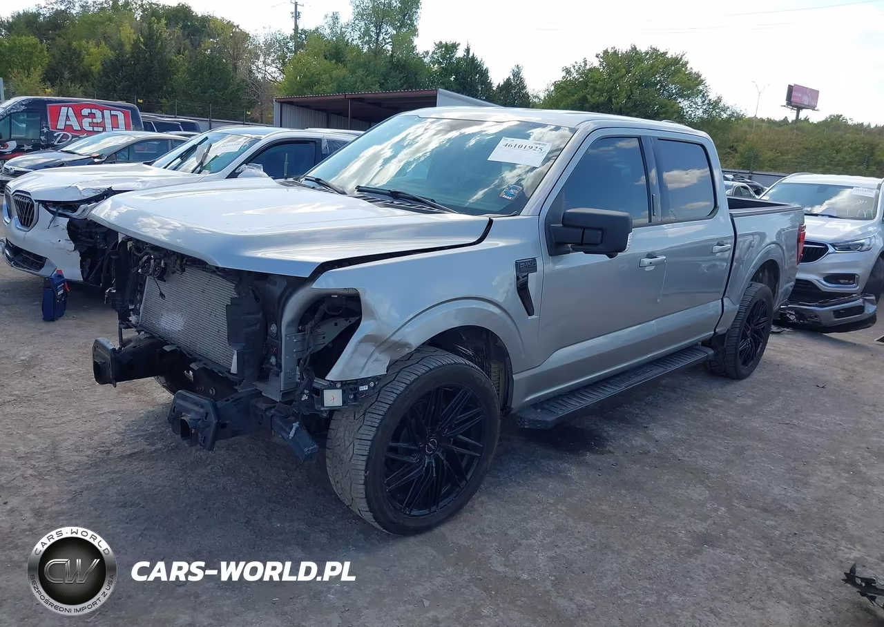 2024 Ford F-150 Xlt VIN:1FTEW3K54RKD43099 - 2