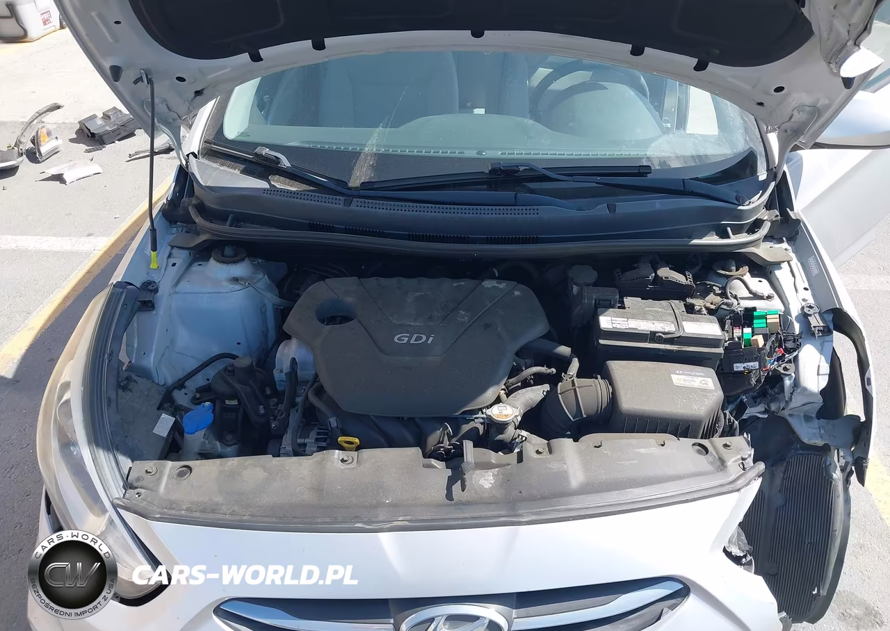 2016 Hyundai Accent Se VIN:KMHCT4AE7GU998555 - 10