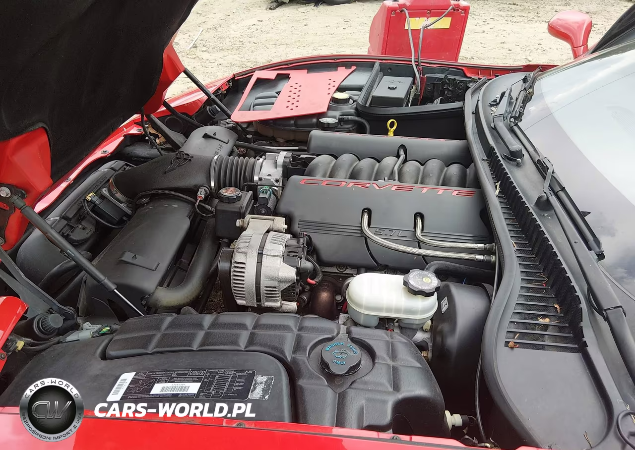 1998 Chevrolet Corvette VIN:1G1YY32G9W5107298 - 10