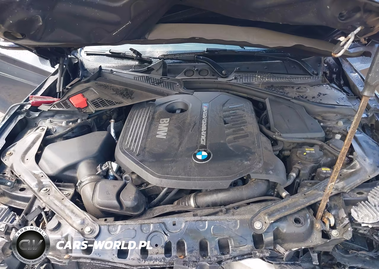 2017 BMW M240I xDrive VIN:WBA2L3C52HV667298 - 10