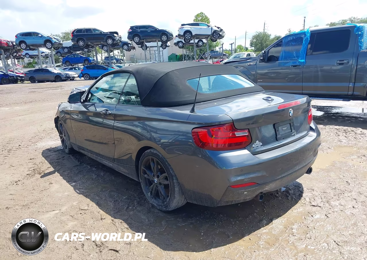 2017 BMW M240I xDrive VIN:WBA2L3C52HV667298 - 3