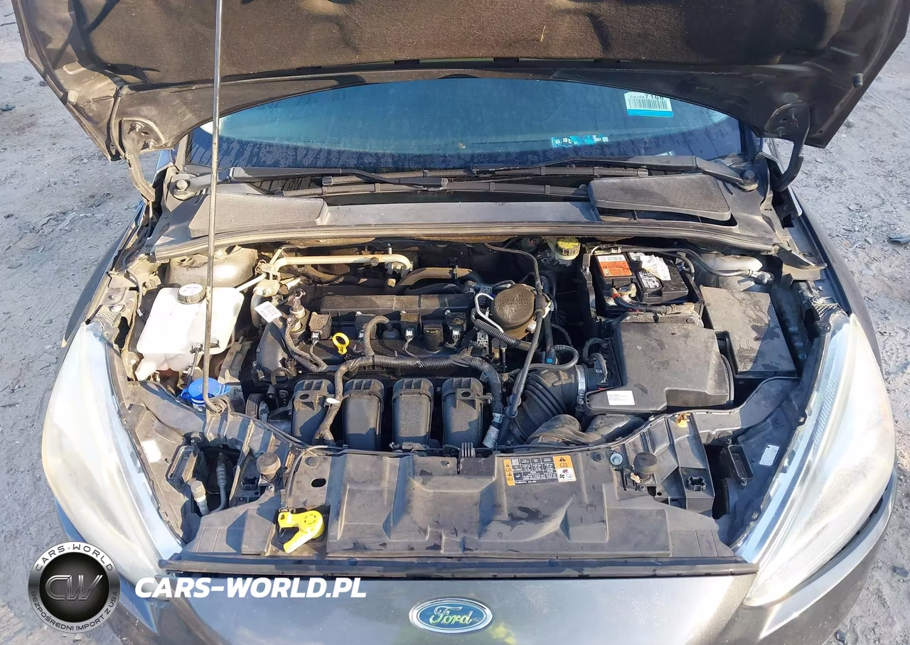 2016 Ford Focus Titanium VIN:1FADP3J27GL273868 - 10
