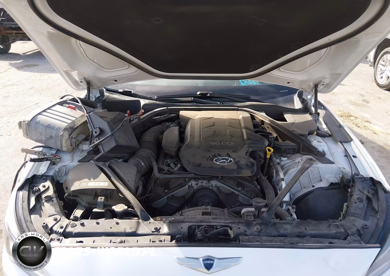 2015 Hyundai Genesis 3.8 VIN:KMHGN4JE8FU067377 - 10