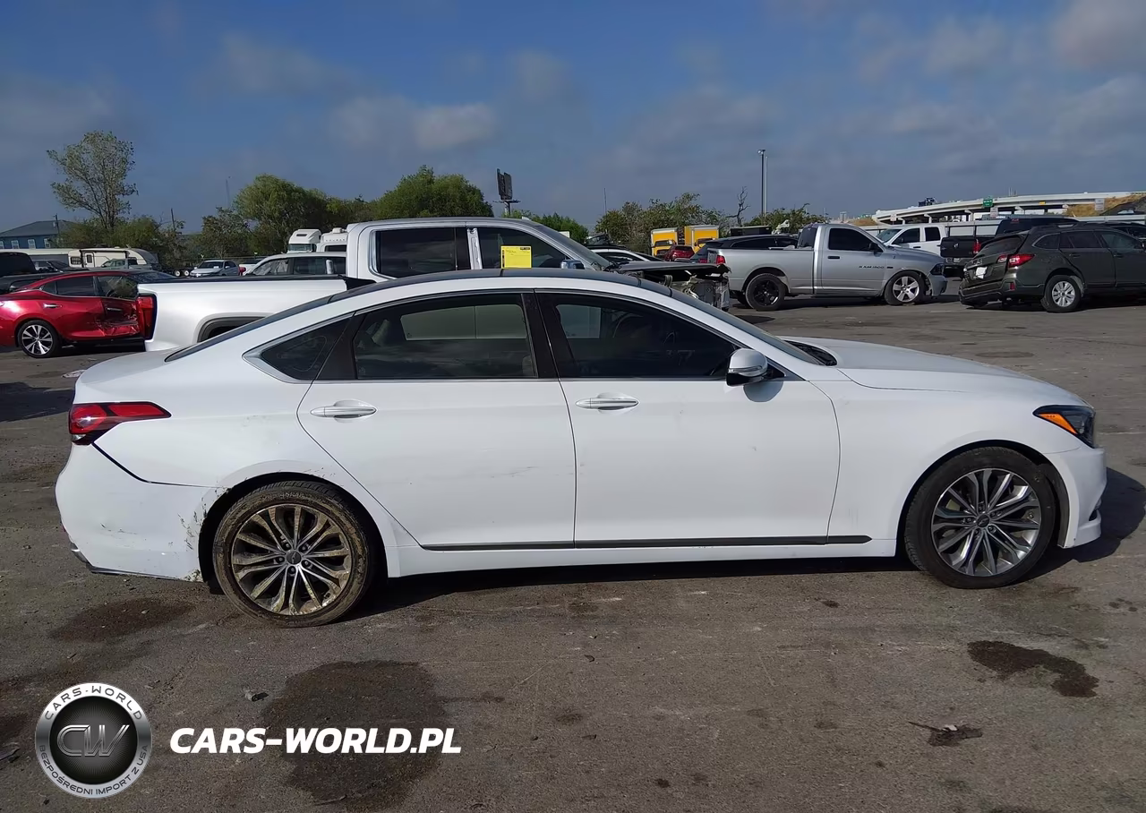 2015 Hyundai Genesis 3.8 VIN:KMHGN4JE8FU067377 - 13